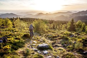 Orari TV e dove vedere il Tour Auvergne – Rhône-Alpes 2026: guida completa alle trasmissioni